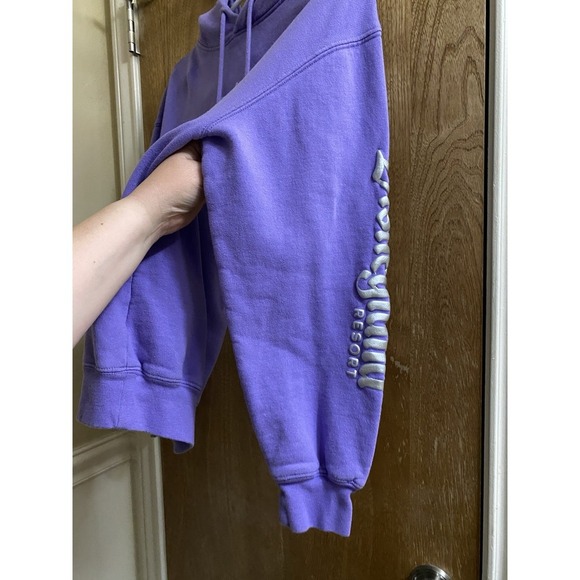 Disneyland 100 Years Of Wonder Purple Embroidered Hoodie Size S Mickey Mouse - Picture 6 of 16